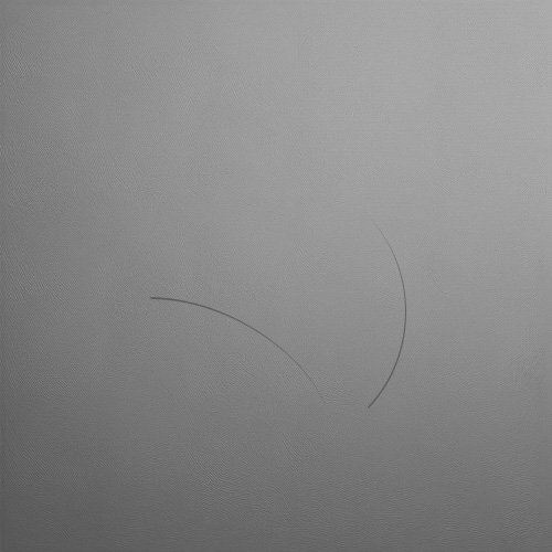 defeito de cabelos no papel identificado pelo Vision King