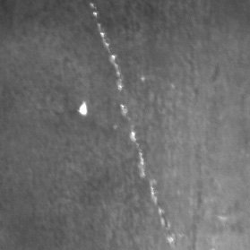 Trinca identificada pelo Vision King