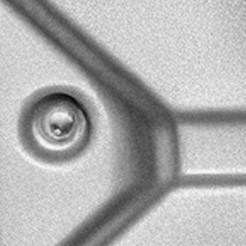 Parametrização com base no resultado do diâmetro da lentilha